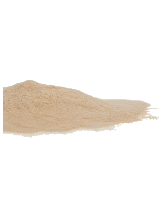 Zwarte knoflook poeder